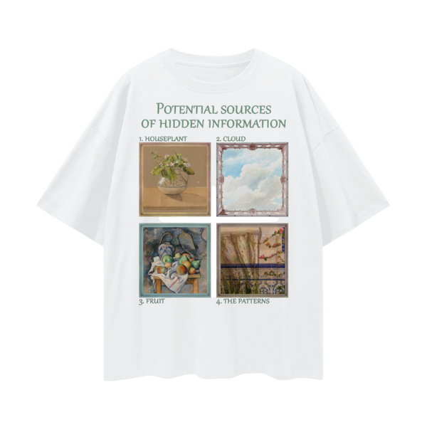 Hidden Information T-Shirt – Oversized Weirdcore Aesthetic Tee, 190 GSM 100% Cotton, Unisex Loose Fit, Surreal Mystery Style