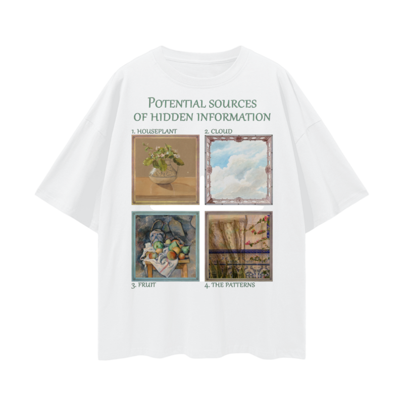 Hidden Information T-Shirt – Oversized Weirdcore Aesthetic Tee, 190 GSM 100% Cotton, Unisex Loose Fit, Surreal Mystery Style
